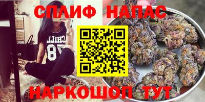 молекула духа Малгобек