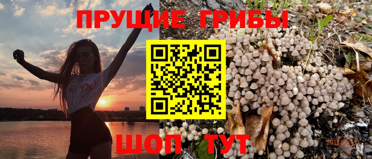 где купить наркоту  Вход с VPN  Верхняя Салда  Галлюциногенные грибы мухоморы  Галлюциногенные грибы мухоморы 