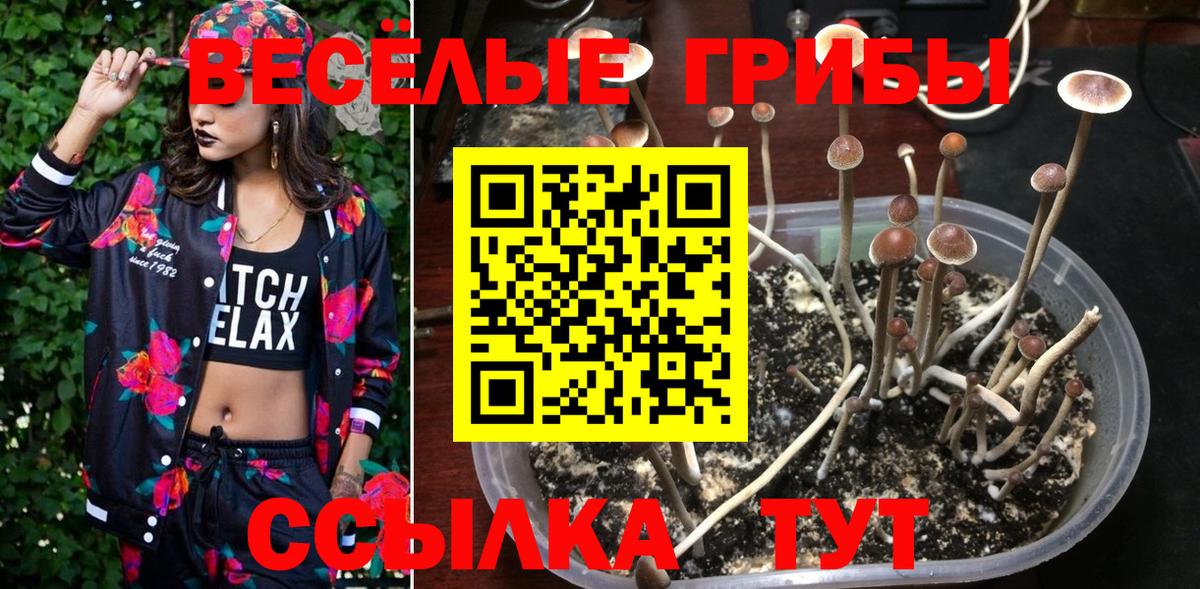 Псилоцибиновые грибы GOLDEN TEACHER Верхняя Салда